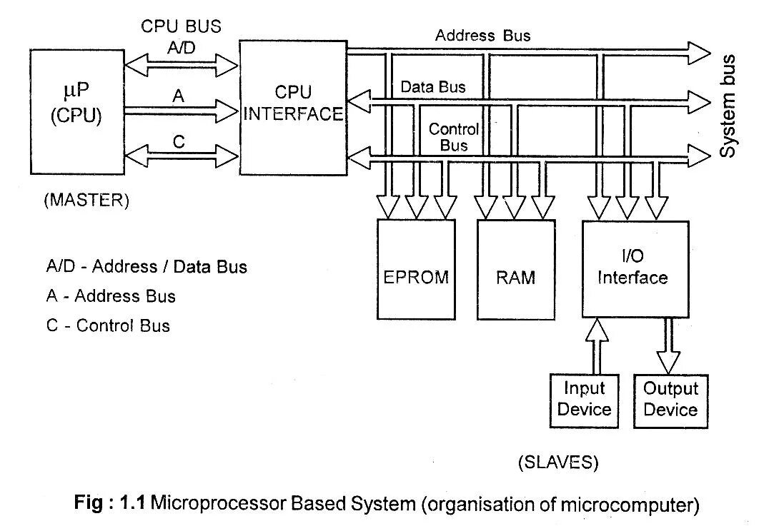 Cpu bus