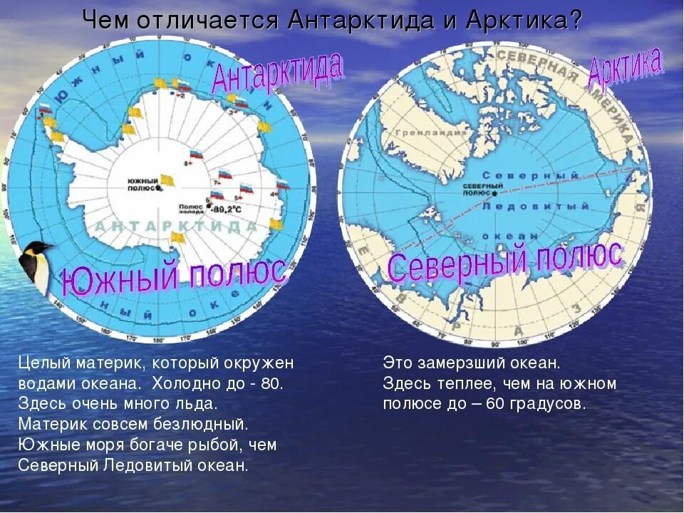 Что такое полюс. Арктика Антарктика Антарктида. Южный и Северный полюс Арктика и Антарктида. Арктика Север и Антарктида Юг. Северный Ледовитый океан и Антарктида на карте.