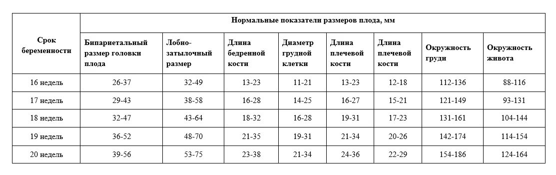 Нормы фетометрии плода в 20 недель. Нормы размера плода на 20 неделе беременности норма. УЗИ плода 20 недель нормы таблица. Фетометрия плода 20 недель. Нормы плода 19 недель