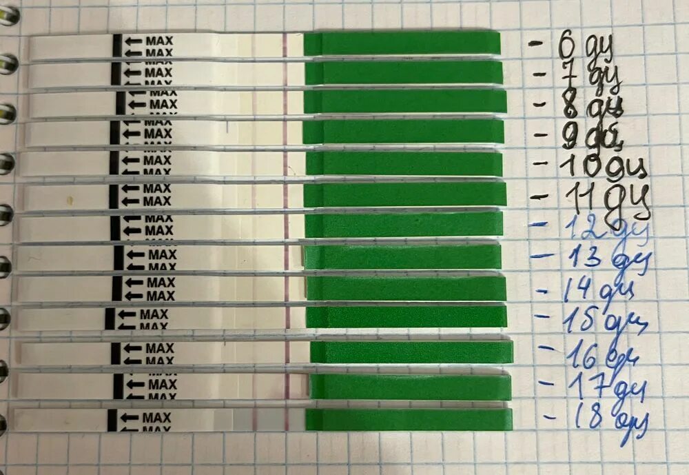 Овуплан тест на овуляцию. Поздняя овуляция. Ранняя и поздняя овуляция. Поздняя овуляция форум. После поздней овуляции