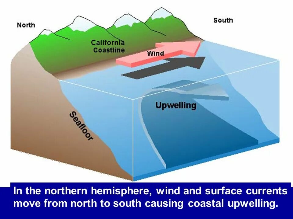 зоны апвеллинга. апвеллинг это в биологии. районы апвеллинга. прибрежный апвеллинг. прибрежный апвеллинг.