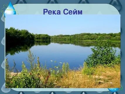 Устье реки сейм
