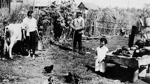 Политические репрессии 1940 1950