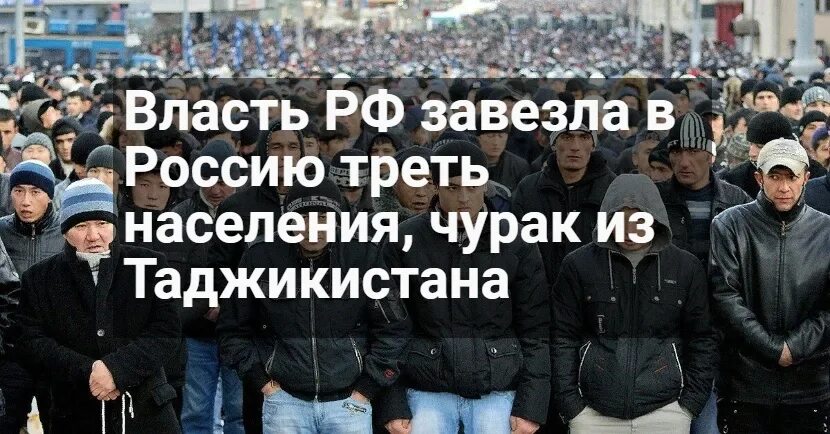 Сколько таджиков уехало из россии. Таджики население. Население Таджикистана 2023. Кол во таджиков в России. Сколько население таджиков.