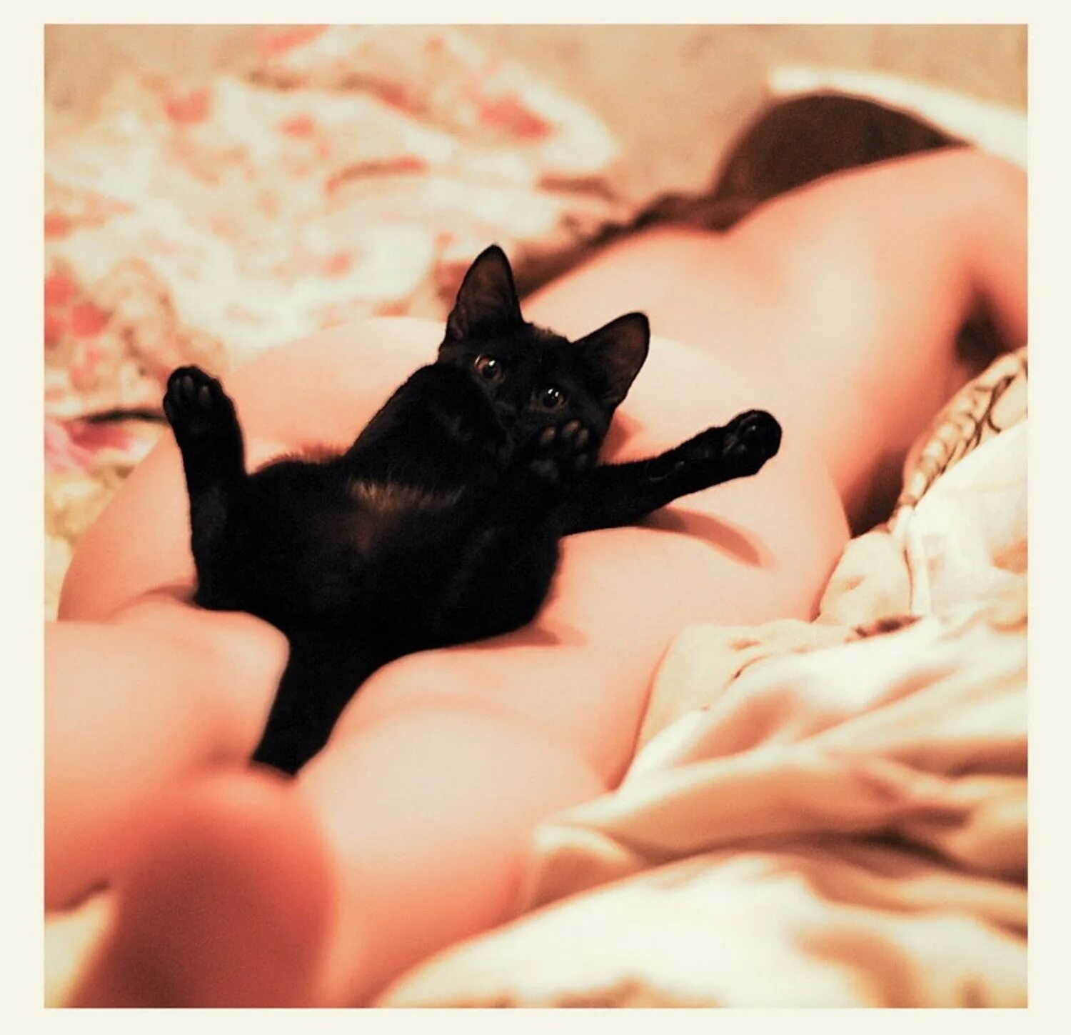 Девушка с котом на руках и голой киской между ног фото