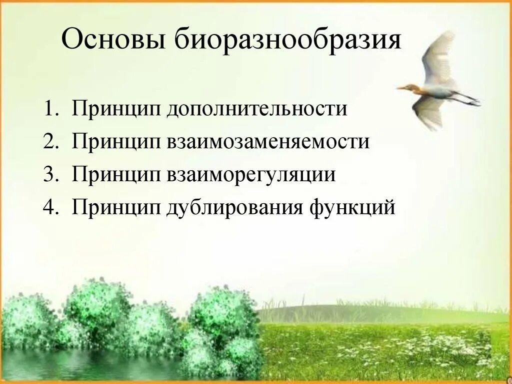 Принцип биоразнообразие. Принцип дополнительности биоразнообразия в природе. принцип дополнительности. принцип взаиморегуляции в экологии. принцип взаимозаменяемости биоразнообразия в природе кратко.