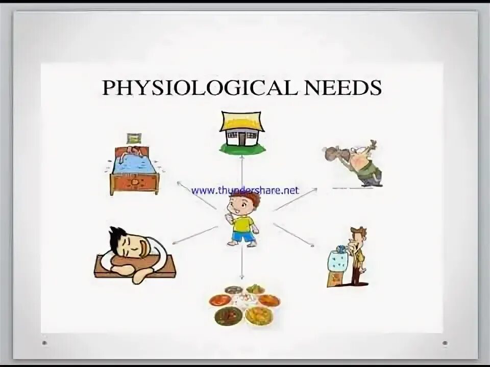 Physiological response. Physiological response