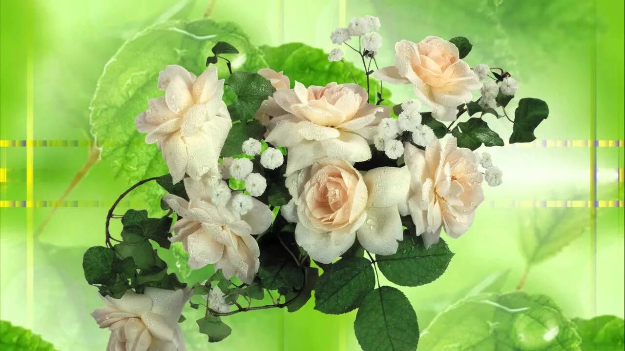Розовый букет песня. Букет белых роз для Ирины. Букет белых роз для Ирочки. Белые розы для Ирины. Белые розы Ирочке.