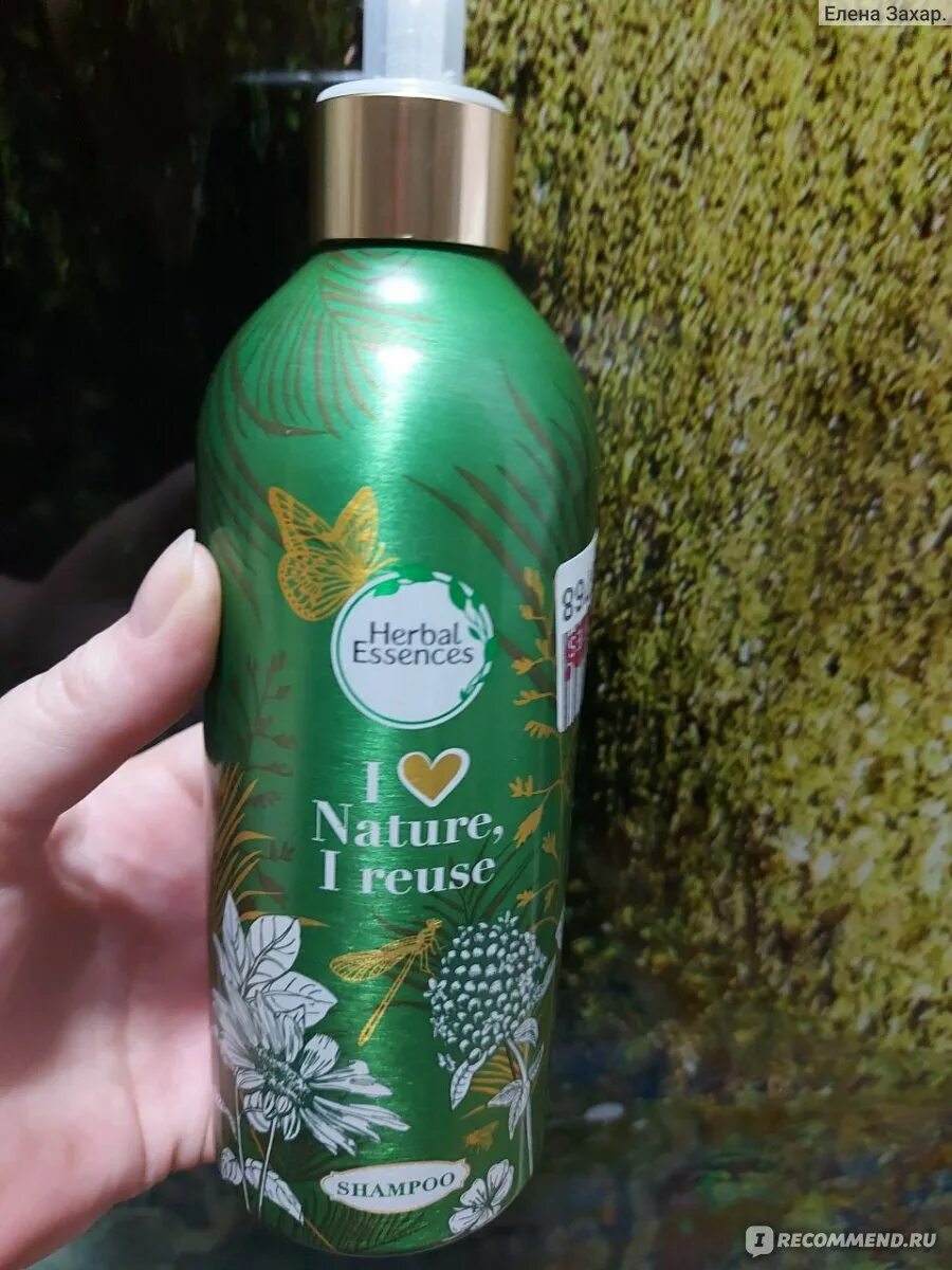 Herbal essences масло. Herbal Essences марокканское. Шампунь Herbal Essences марокканское. Хербал эсенсес марокканское аргановое масло. Шампунь Хербал эсенсес марокканское аргановое масло.