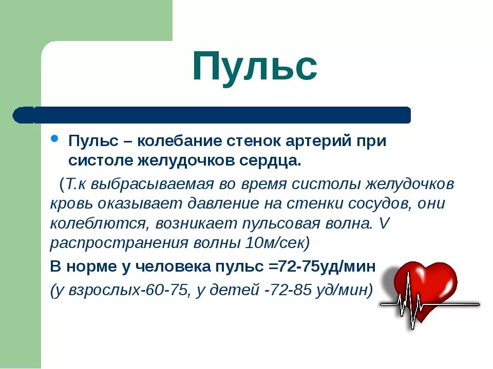 Пульс. Пульс это в биологии. Пульс биология 8 класс. Пульс презентация. Почему понижается пульс