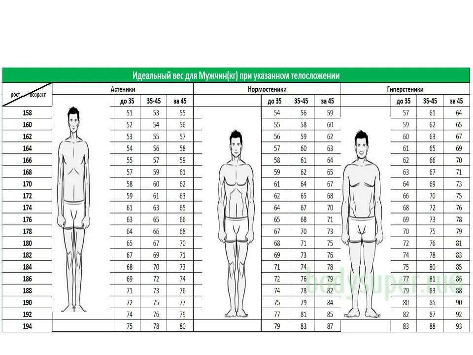 Рост эктоморфа вес параметры. Пропорции тела человека таблица для мужчин. Таблица пропорций тела для мужчин. Типы телосложения человека таблица. Размеры идеальной фигуры