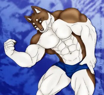Muscle furry