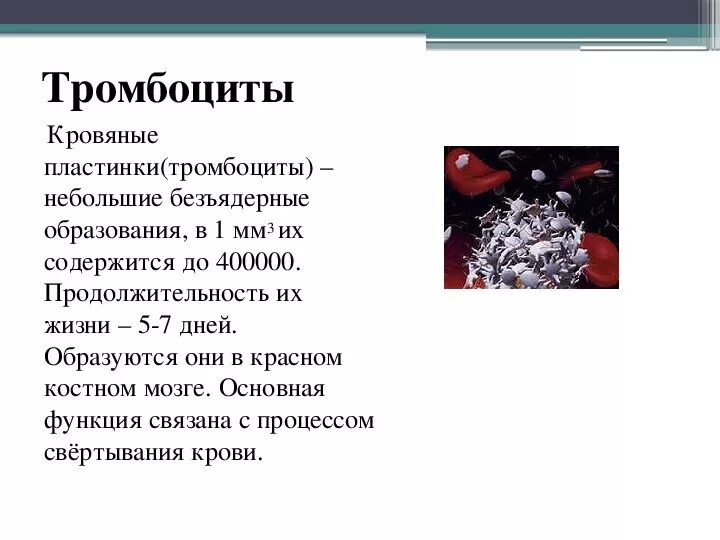 Силен и тромбоциты. Тромбоциты.
