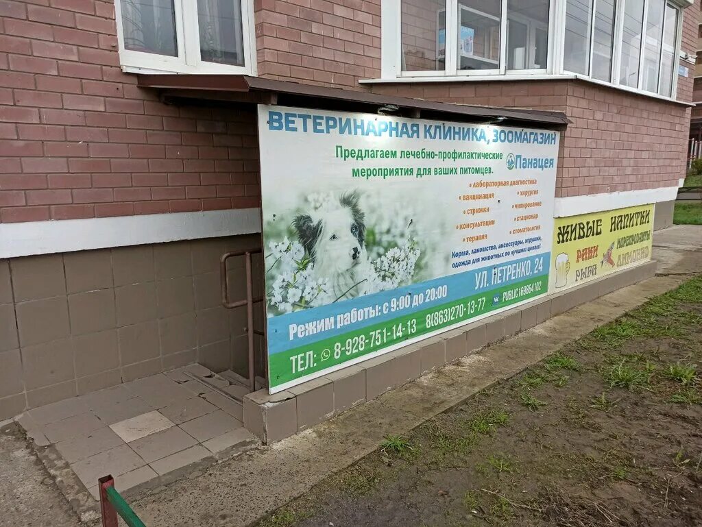 панацея ростов телефон. ростов улица мечникова 43. панацея страхование. панацея ростов-на-дону. панацея комарова 20.