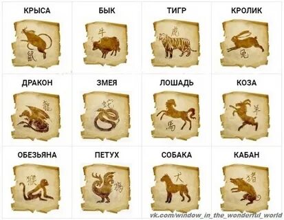 Гороскоп на 2025 кабан