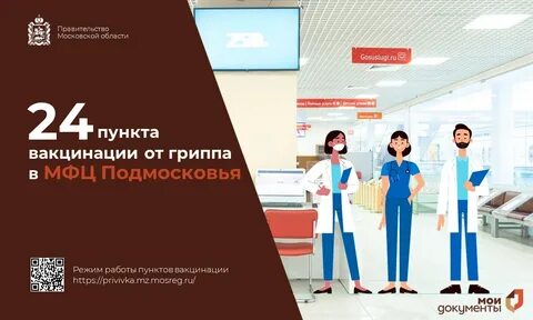 Мои документы московская область раменский