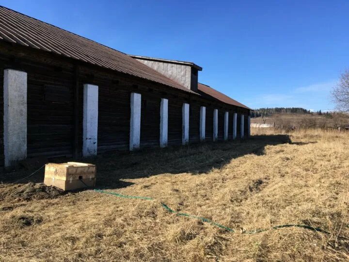 Погода в лямино. Поселок Лямино Чусовской район. Стам 100. Фото д Лямино. Купить участок под ферму.