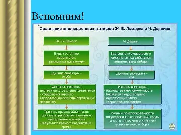 Почему теория дарвина убедительнее теории ламарка. Теория эволюции Дарвина и Ламарка таблица. Сравнительная таблица теории Дарвина и Ламарка. Эволюционные учения Дарвина и Ламарка. Сравнение теории эволюции Дарвина и Ламарка.