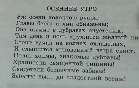 Текст про осеннее утро