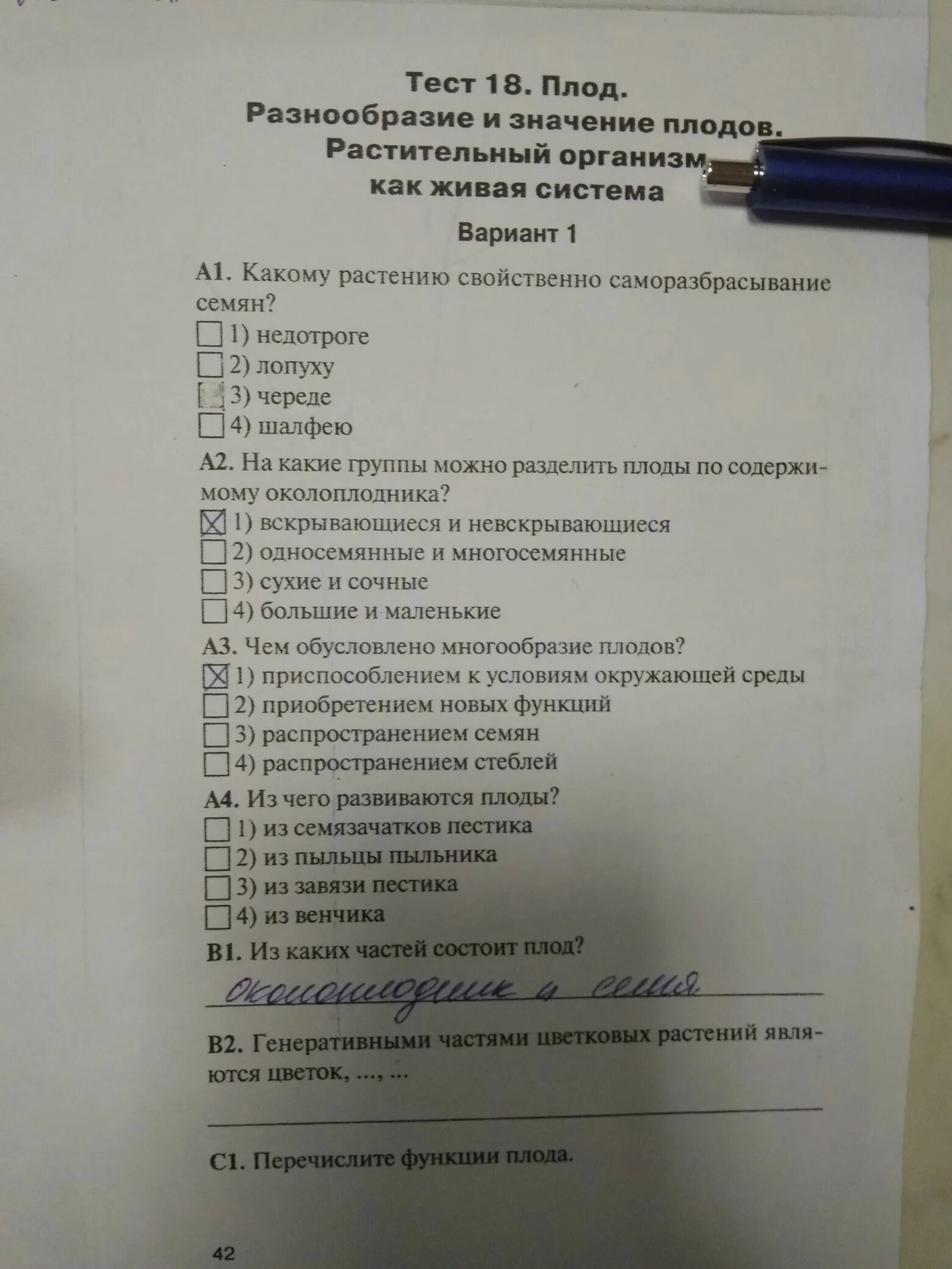 Ответы на тест биология 6 класс тест 18 разнообразие плодов. Биология 6 класс тест 18 плод разнообразие и значение плодов. Знанио биология 6 класс тест 18 плод разнообразие и значение плодов. Плод разнообразие и значение плодов 6 класс биология тест с ответами.