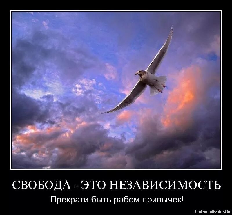 Svabodni chelovek. свобода демотиваторы. суверенитет это кратко. независимость быв. свобода человека.