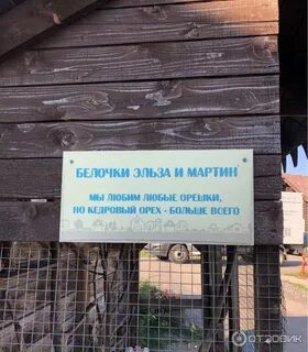 Сыроварня деревня матокса отзывы