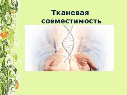 Тканевая совместимость и переливание