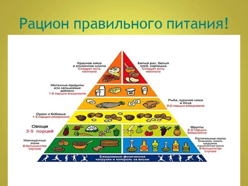 Правильный ежедневный рацион