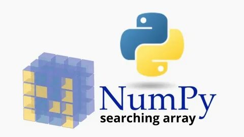 Numpy input