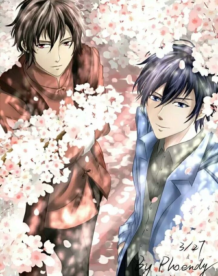 Аниме паранормальное расследование близнецов. Близнецы-детективы / shuangsheng lingtan. Паранормальное 2 близнецы-детективы. Twin detectives. Twin detectives.