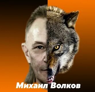 Wolf m8