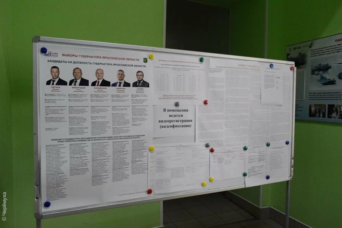 Выборы с 8 утра. Выборы губернатора ярославской области 2025. электронное голосование 2025. выборы губернатора. бюллетень выборы 2025.