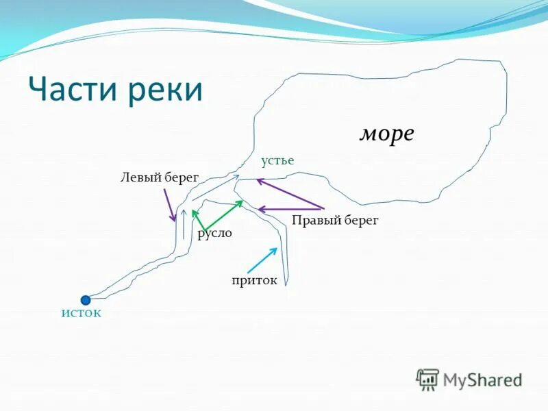 Схема реки Исток русло Устье. Части реки Исток русло. Схема реки Исток приток Устье. Исток реки схема. Притоки порядку