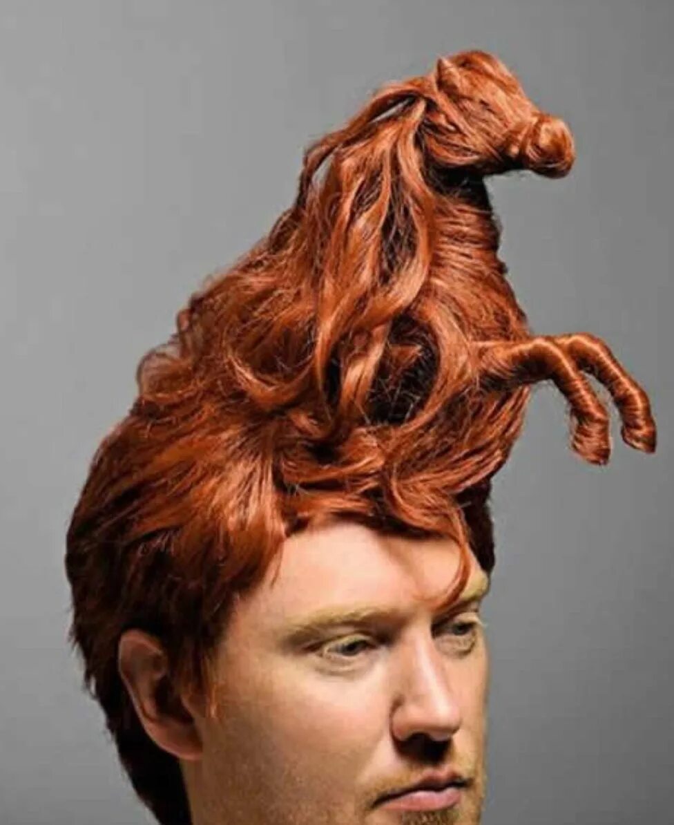 Pin by Lenora Dame Studio on Tresses Crazy hair days, Weird haircuts, Crazy hair