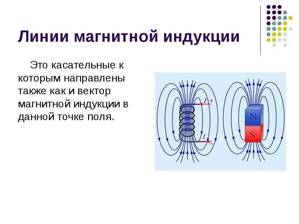 Виды линий магнитной индукции. Вектор магнитной индукции и магнитные линии. Линии магнитной индукции прямого постоянного магнита. Линии вектора магнитной индукции магнита. Линии магнитной индукции физика.