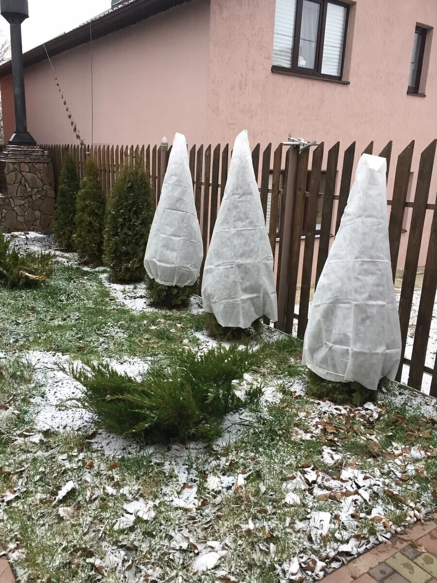 Каким спанбондом укрывать на зиму