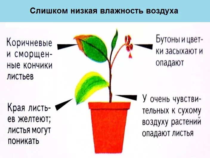 Рассохлась вагонка появились щели, что делать? Эксперты - "ЛесоБиржа"