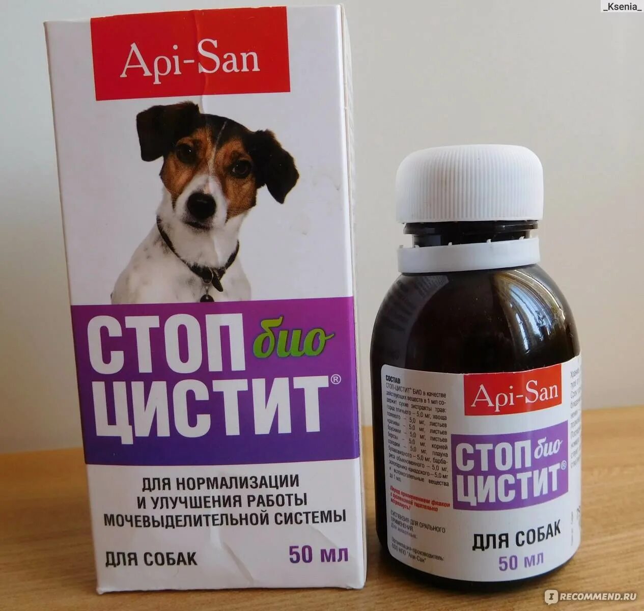 Цистит у собаки симптомы и лечение