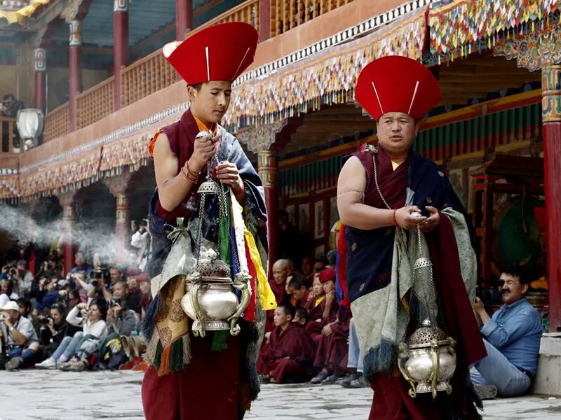 Hemis student tersu. Спитук Гомпа. Фестиваль в Ладакх. Хемис. Фестиваль в Ладакх животные.