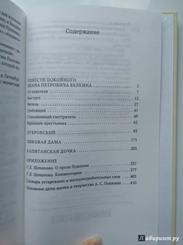 Пушкин Капитанская дочка количество страниц. Капитанская дочка Кол во страниц. Капитанская дочка книга количество страниц в книге.