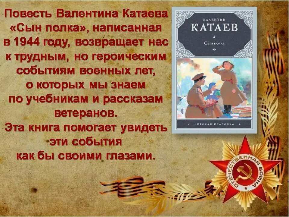 Краткое содержание книги катаева сын полка