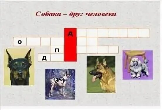 Кроссворд собачий