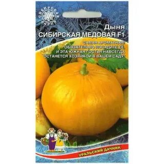 Сибирская дыня