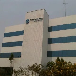 Pp plant