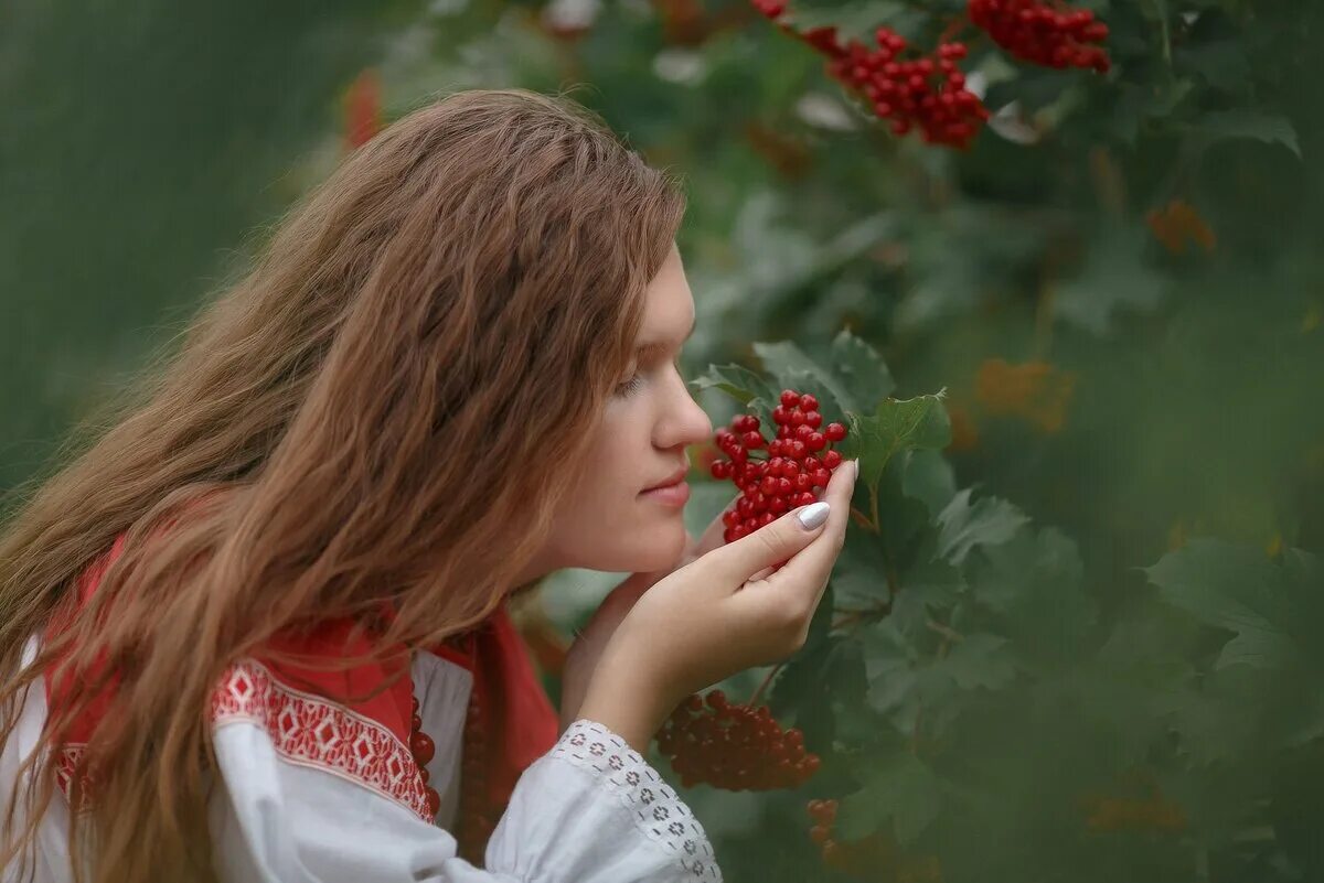 Поет соловей ах калина калина песня. Ах Калина красная. Рябина бурка. Калина красная кадры. Красна девица.