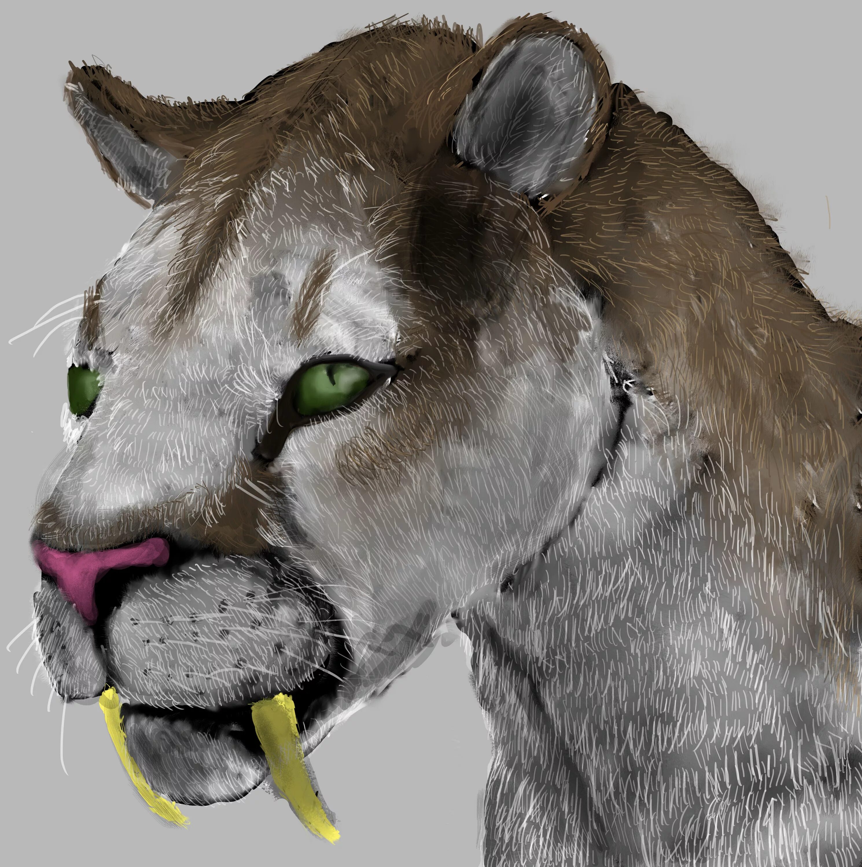 Smilodon. Смилодон популятор. Смилодон референс. Смилодон анатомия. Смилодон bbc.