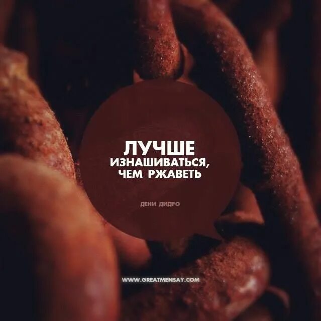 Рубль не заржавеет. В ульяновске заржавел памятник рублю. Рыжий кот приколы с надписями. Наглый рыжий кот. Наглый кот.