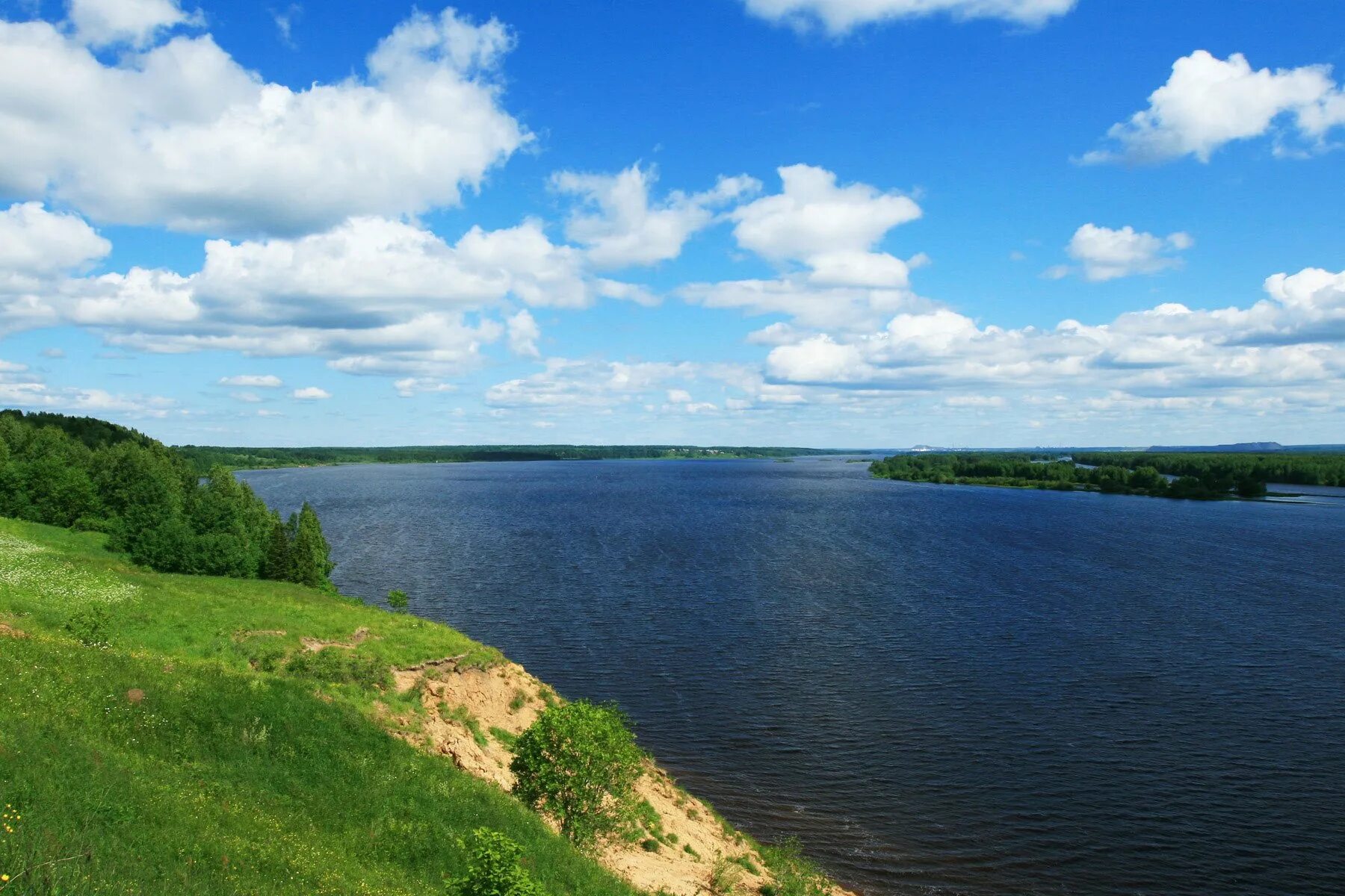 Река кама является притоком реки. Кама Удмуртия. Река Кама Пермский край. Река Волга и Кама. Кама (река) приток Волги.