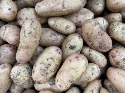 Покажи картофель