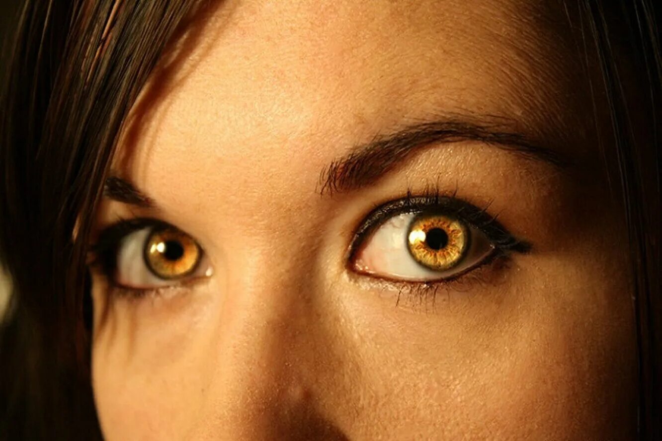 Желтые глаза. Золотые глаза. Янтарный цвет глаз. Жёлтые глаза у человека. Eyes on me by asteria